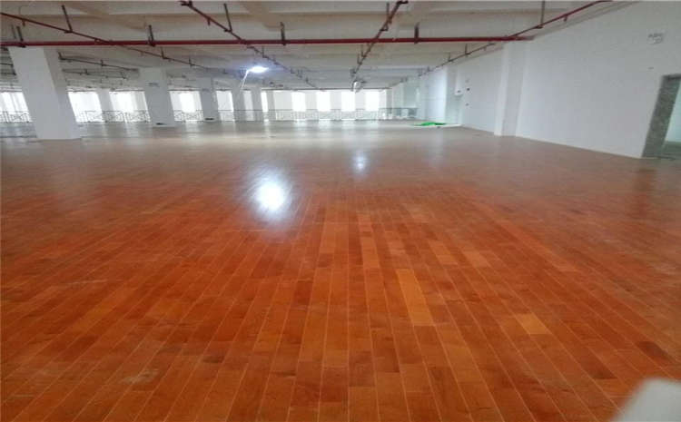 楓樺木體育木地板單層龍骨結構